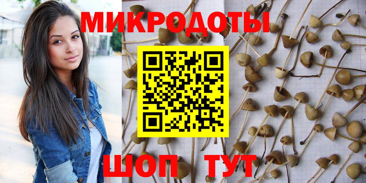 Северобайкальск  Галлюциногенные грибы мухоморы  Галлюциногенные грибы Psilocybe  Вход с VPN 