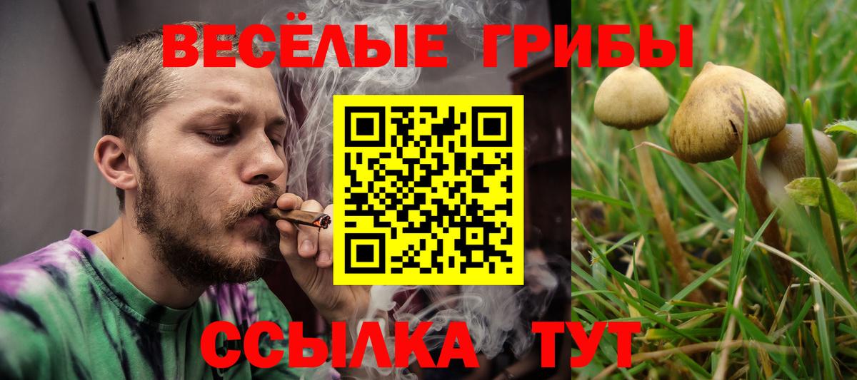 Галлюциногенные грибы GOLDEN TEACHER Северобайкальск